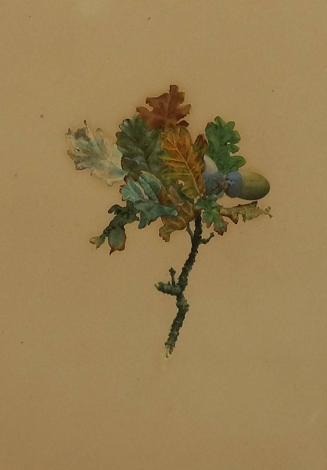 watercolour, probably 1880s 26.2 x 18.2 cm