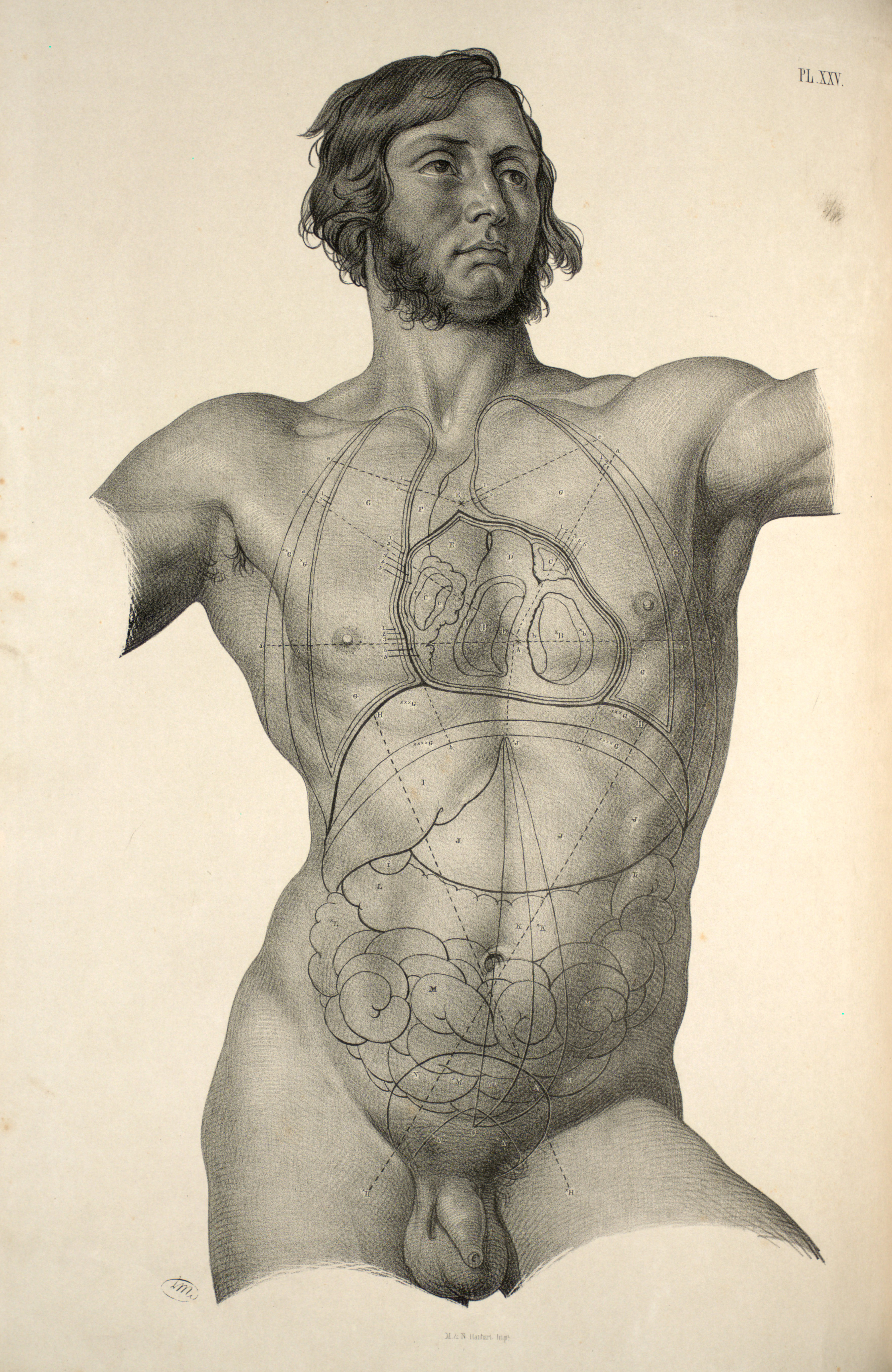 from Joseph Maclise, <i>Surgical Anatomy</i> (London: John Churchill, 1856), Plate 25, 1856, lithograph. Wellcome Collection.