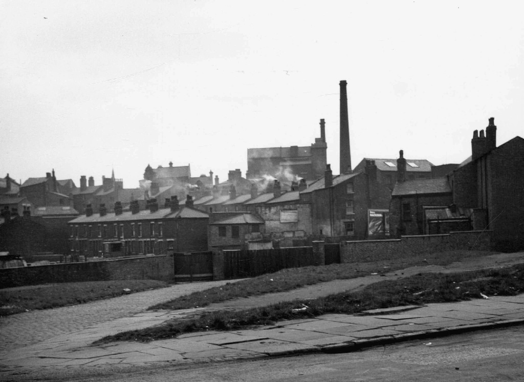 <i>view of slum clearance land corner of Palmerston Street, showing back of terraced houses on Pin Mill Brow and property facing Ashton Old Road, 1960s</i>. Collection of Manchester Libraries.