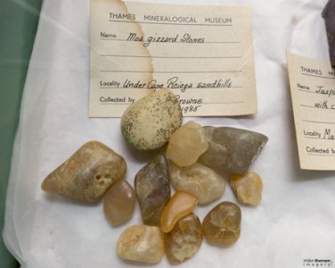 Collection of Thames Mineralogical Museum, Coromandel, New Zealand.