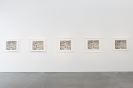 2005, platinum/palladium prints framed in acrylic boxes, five parts, each framed 75.4 × 94.6 × 5.9 cm. Collection of Museum of Contemporary Art Chicago, Gift of Gerald S. Elliott, Albert A. Robin by exchange (2014.35.a-e).
