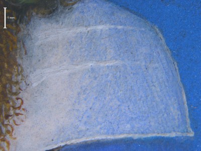 Ludovic Stuart, 2nd Duke of Lennox and Duke of Richmond (photo-micrograph)