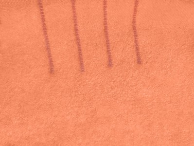 detail showing four points, the code for a double size bed, circa 1948. The blanket was sold to Canadian shoppers by the T. Eaton Company, Ltd. Collection of Marlene Kadar.