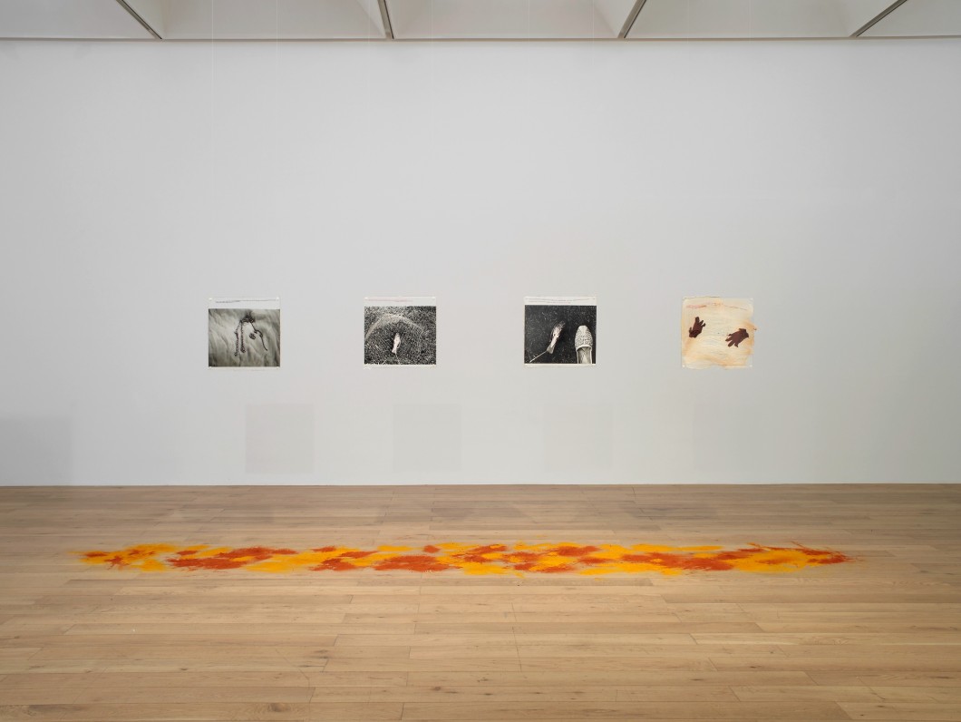installation exhibited at <i>The Place is Here</i>, Nottingham Contemporary, 2017, 1987, installation consisting of eight hand-colored, gelatin-silver prints; text printed on muslin sandwiched between the photographs; latex gloves; Plexiglass; photocopied passports on the muslin; turmeric and chilli powder scattered on the floor, each image 49.7 x 51 cm (overall dimensions variable).