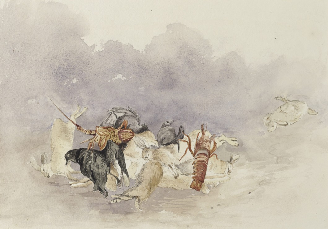 1845, pencil, watercolour, and Chinese white highlights on paper. Collection of Tasmanian Museum and Art Gallery (AG2200).